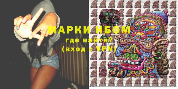 шишки Горняк
