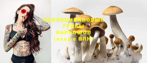 мдпв Горнозаводск
