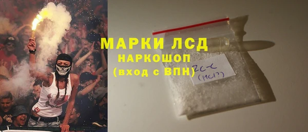 шишки Горняк
