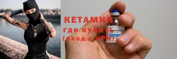 шишки Горняк