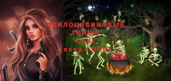 шишки Горняк