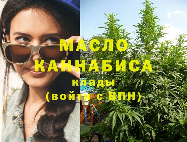 шишки Горняк