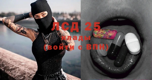 мдпв Горнозаводск