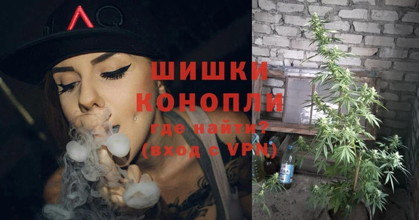 шишки Горняк