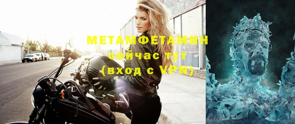 шишки Горняк