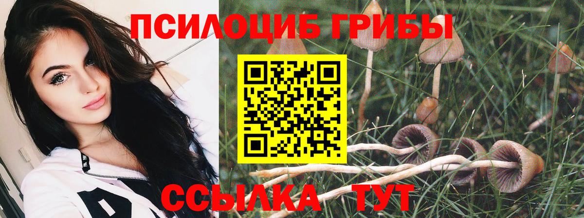 Мценск  Галлюциногенные грибы GOLDEN TEACHER  Вход с VPN 