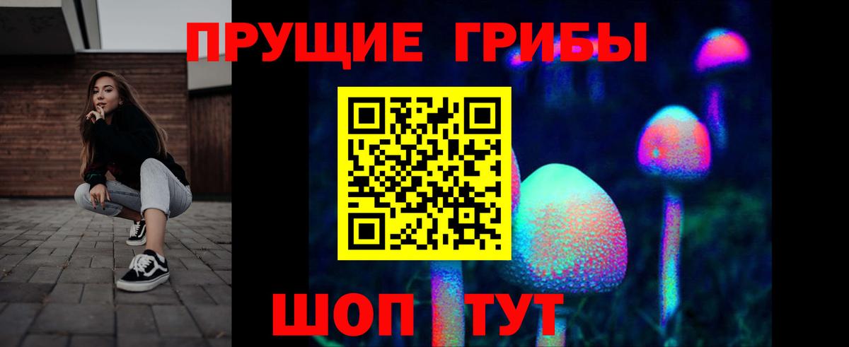 Псилоцибиновые грибы прущие грибы  Мценск 